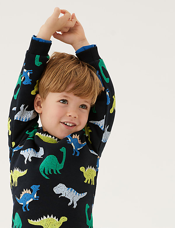 Cotton-Rich Dinosaur Sweatshirt (2-7 Yrs)