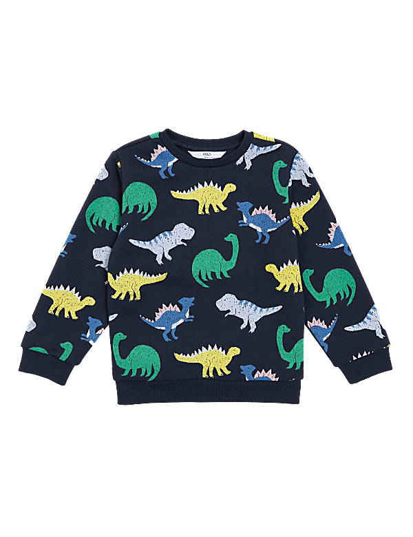 Cotton-Rich Dinosaur Sweatshirt (2-7 Yrs)