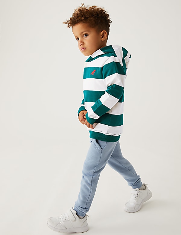 Cotton Rich Striped Hoodie