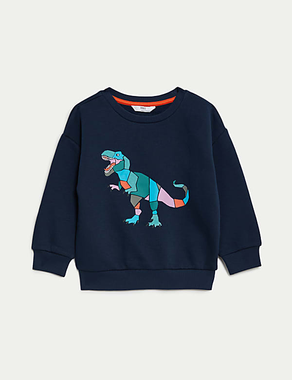 Cotton Rich Dinosaur Sweatshirt (2-8 Yrs) - US