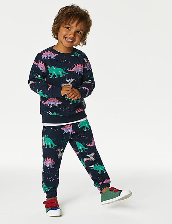 Cotton Rich Dinosaur Sweatshirt