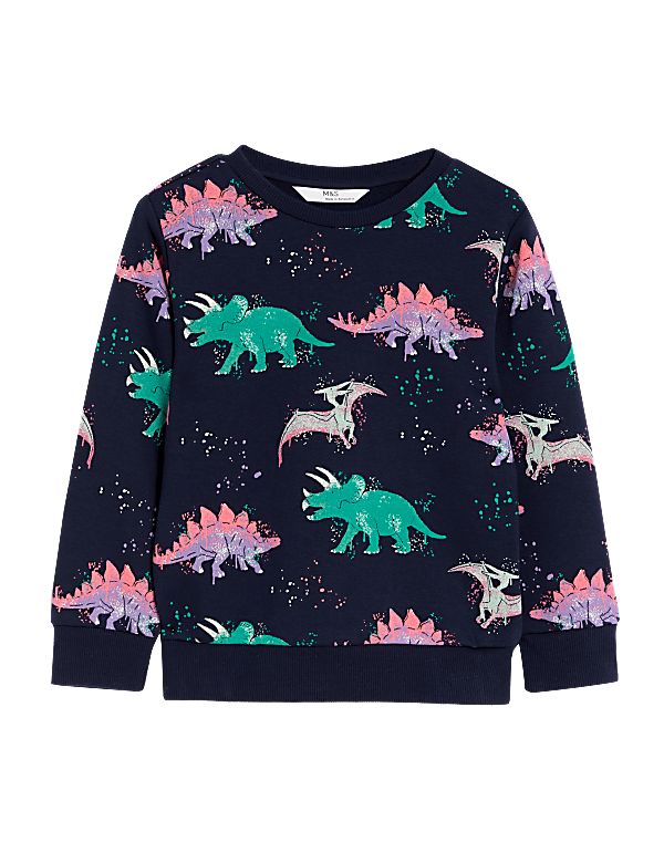 Cotton Rich Dinosaur Sweatshirt