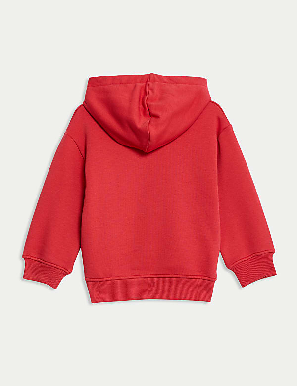 Cotton Rich Hoodie (2-8 Yrs)