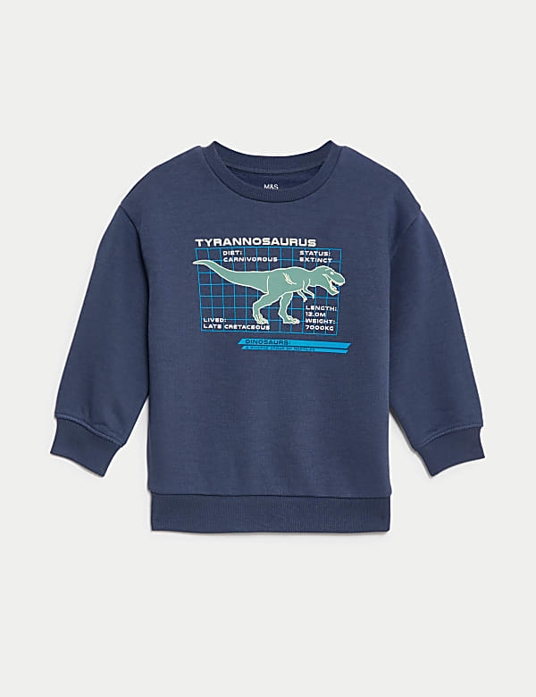 Cotton Rich Dinosaur Sweatshirt (2-8 Yrs) - AT