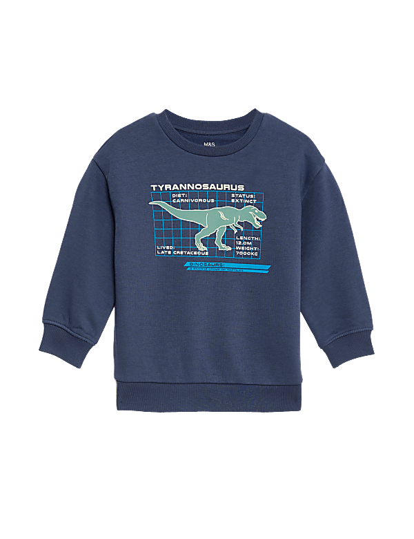 Cotton Rich Dinosaur Sweatshirt (2-8 Yrs)