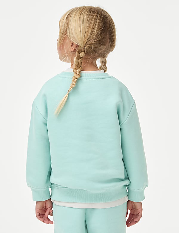 Cotton Rich Bear Sweatshirt (2-8 Yrs)