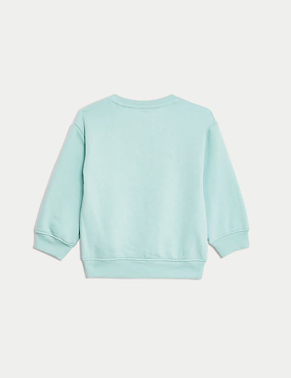Cotton Rich Bear Sweatshirt (2-8 Yrs)