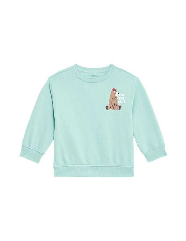 Cotton Rich Bear Sweatshirt (2-8 Yrs)