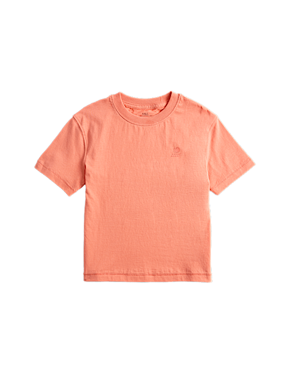 Pure Cotton Graphic T-Shirt (2-8 Yrs)