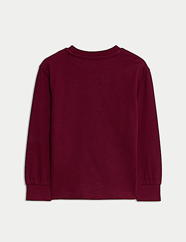 Pure Cotton Long Sleeve T-shirt (2-8 Yrs)