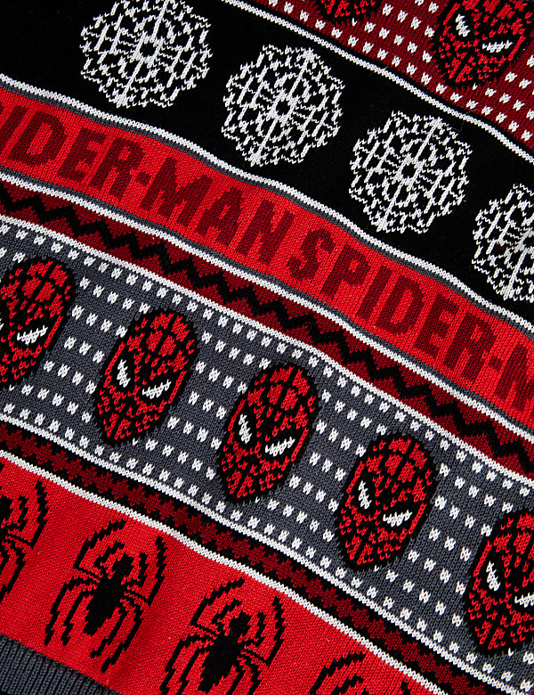Pure Cotton Spider-Man™ Jumper (2-8 Yrs)