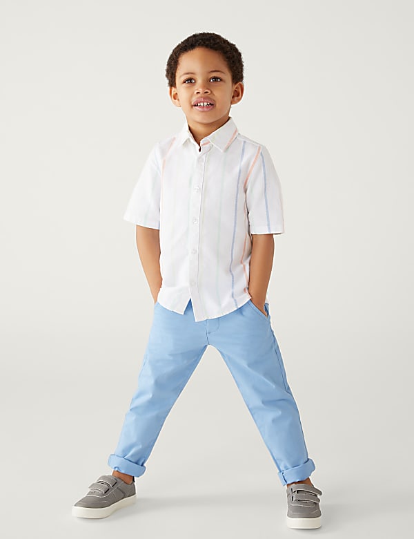 Pure Cotton Striped Oxford Shirt