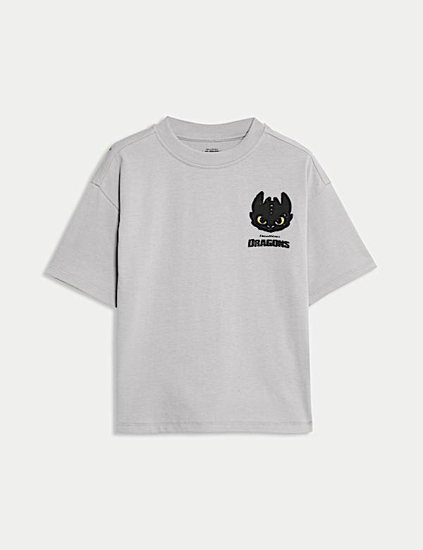 How To Train Your Dragon T-Shirt (2-8 Yrs) - US