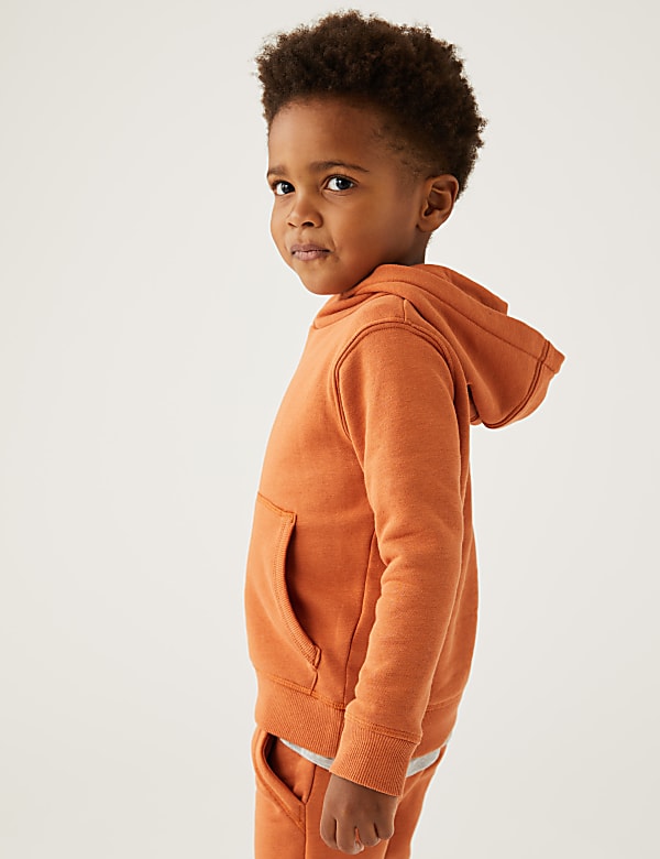 Cotton Rich Pullover Hoodies (2-7 Yrs)