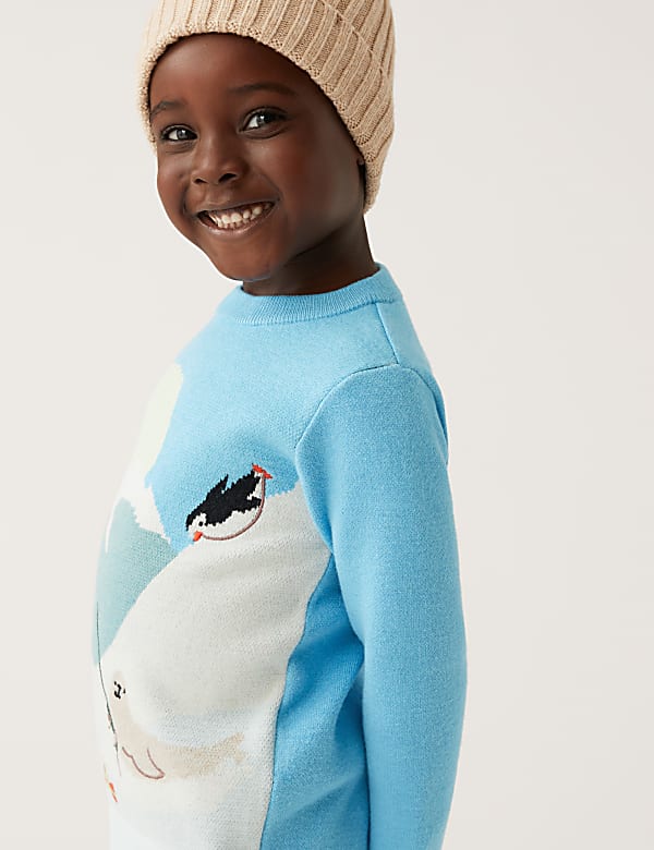 Knitted Antarctic Jumper