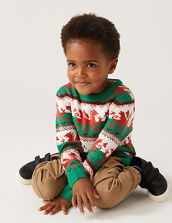 Mini Me Welsh Christmas Jumper