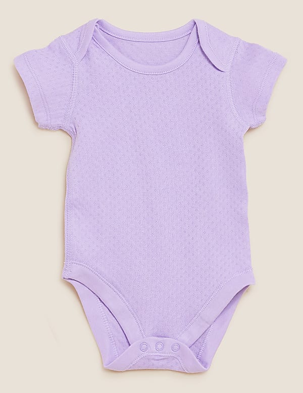 5pk Pure Cotton Pointelle Bodysuits