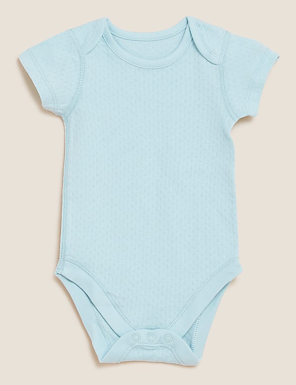 5pk Pure Cotton Pointelle Bodysuits