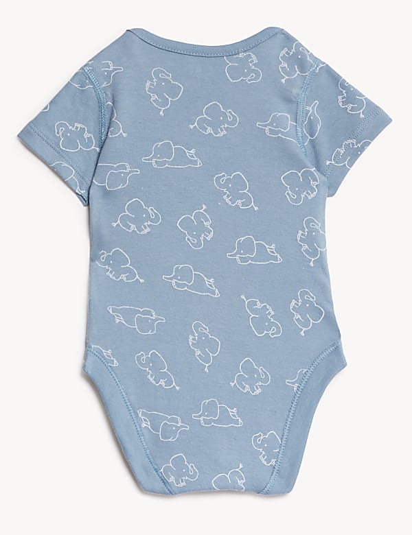 14pc Animal Print Blue Gift Set