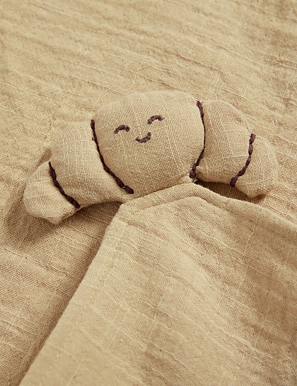 2pc Cotton Rich Zip Sleepsuit & Comforter (0-3 Yrs) - JO