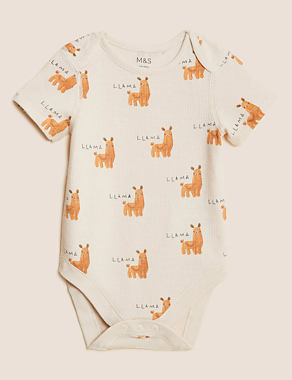 3pk Pure Cotton Printed Bodysuits