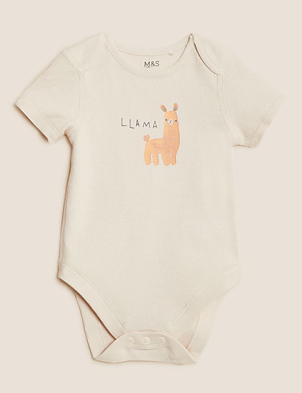 3pk Pure Cotton Printed Bodysuits