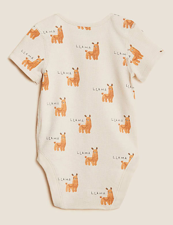 3pk Pure Cotton Printed Bodysuits