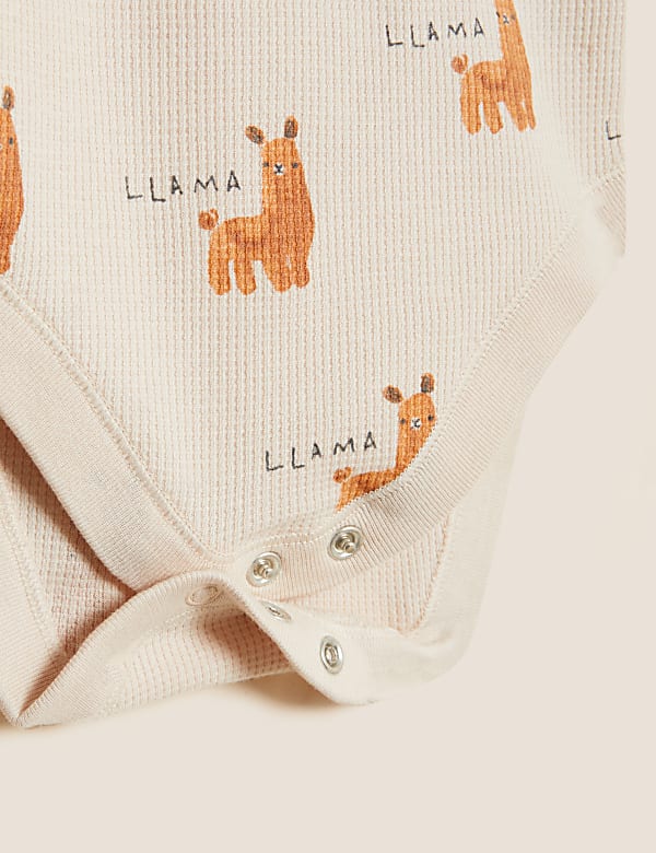 3pk Pure Cotton Printed Bodysuits