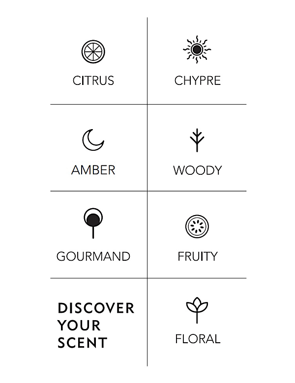 Discover Intense Discovery Set