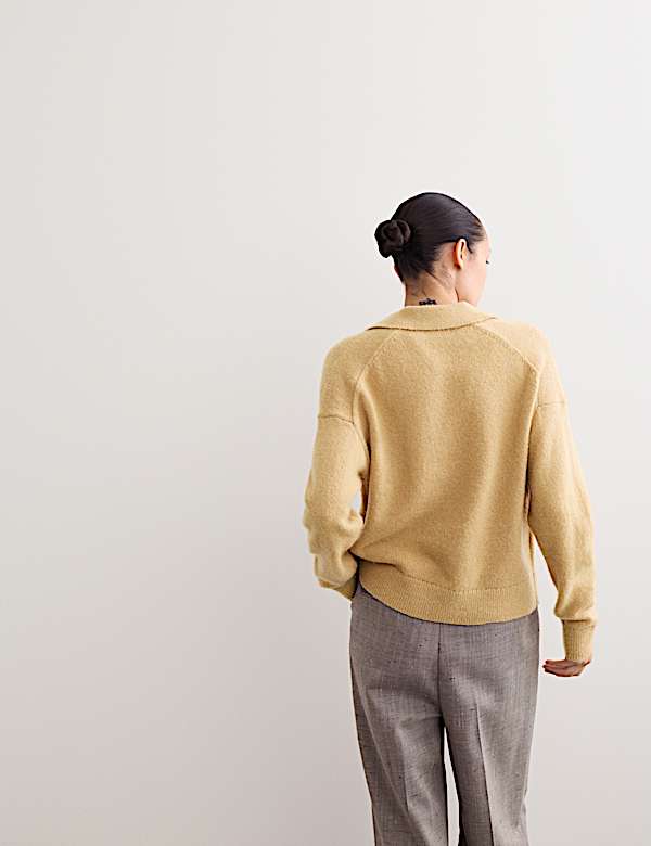 Trui van mohairmix met kraag en V-hals - NL