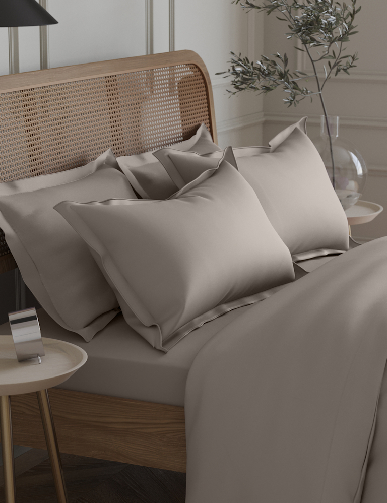 2 Pack Egyptian Cotton 230 Thread Count Crisp Oxford Pillowcases