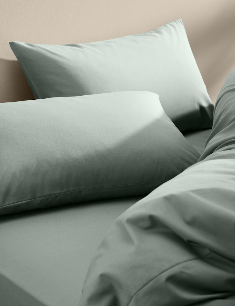 2 Pack Cotton Rich Pillowcases