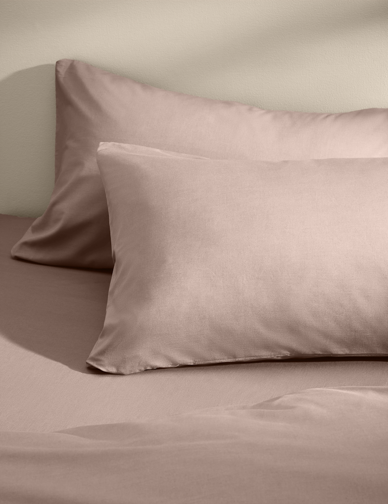 2 Pack Cotton Rich Pillowcases