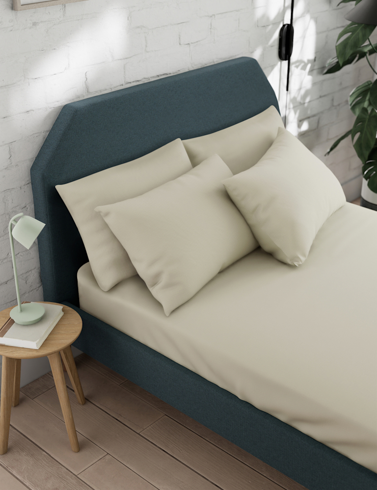 Cotton Rich Flat Sheet