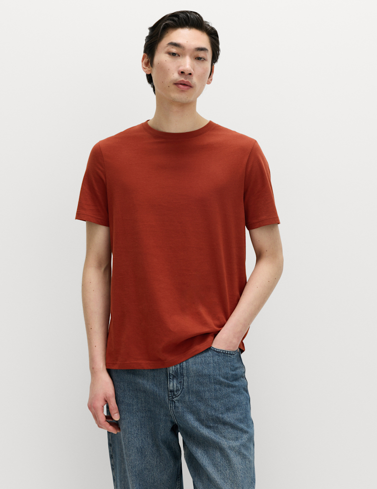 Regular Fit Pure Cotton Crew Neck T-Shirt