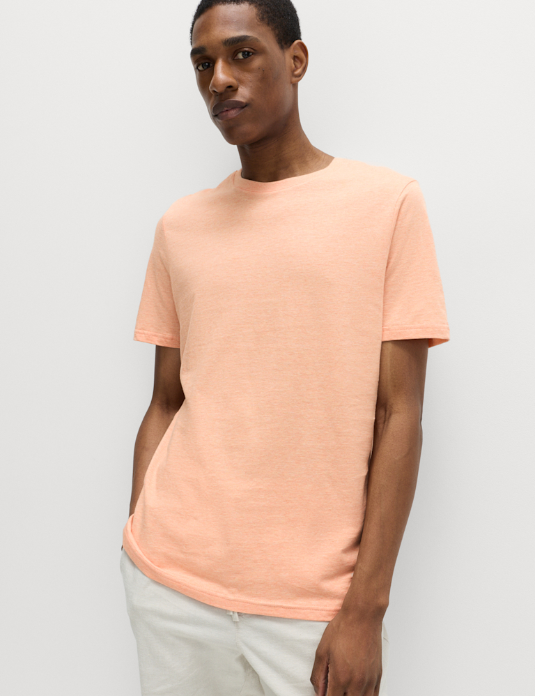 Regular Fit Pure Cotton Crew Neck T-Shirt