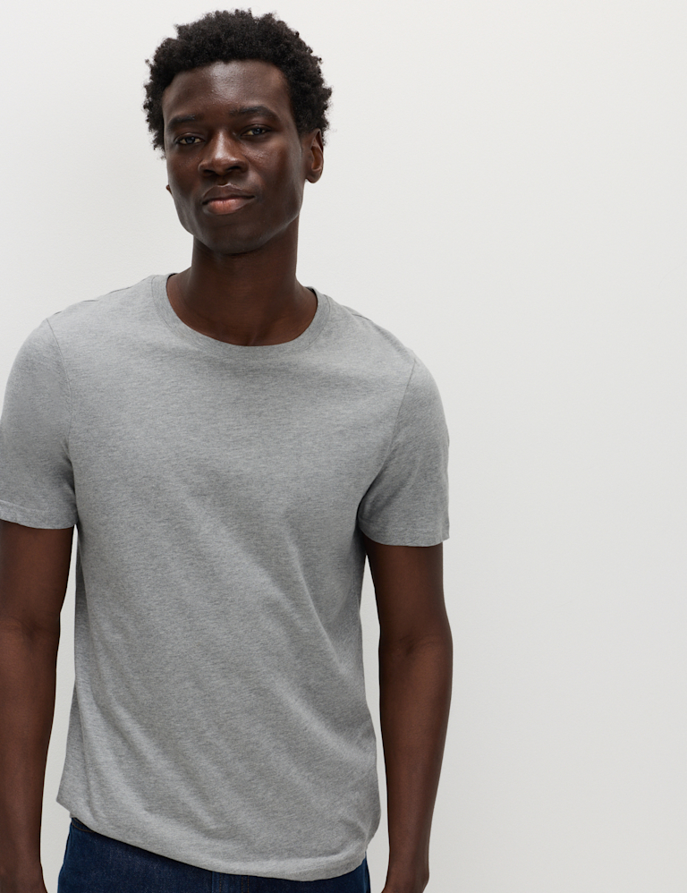 Regular Fit Pure Cotton Crew Neck T-Shirt