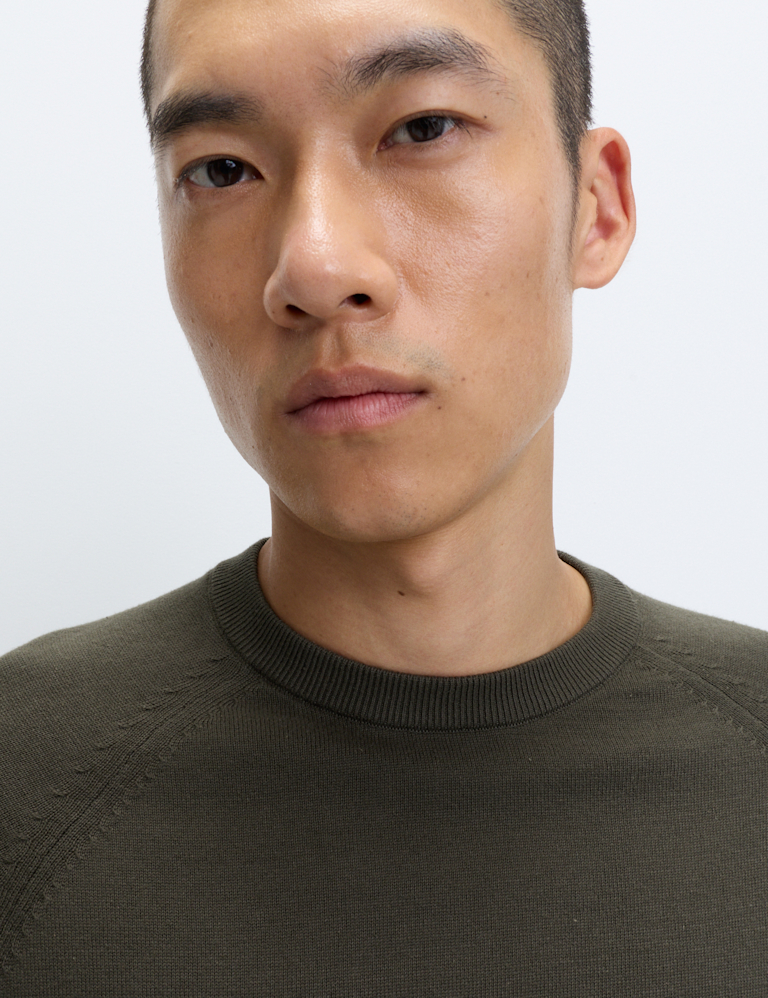 Pure Cotton Crew Neck Jumper