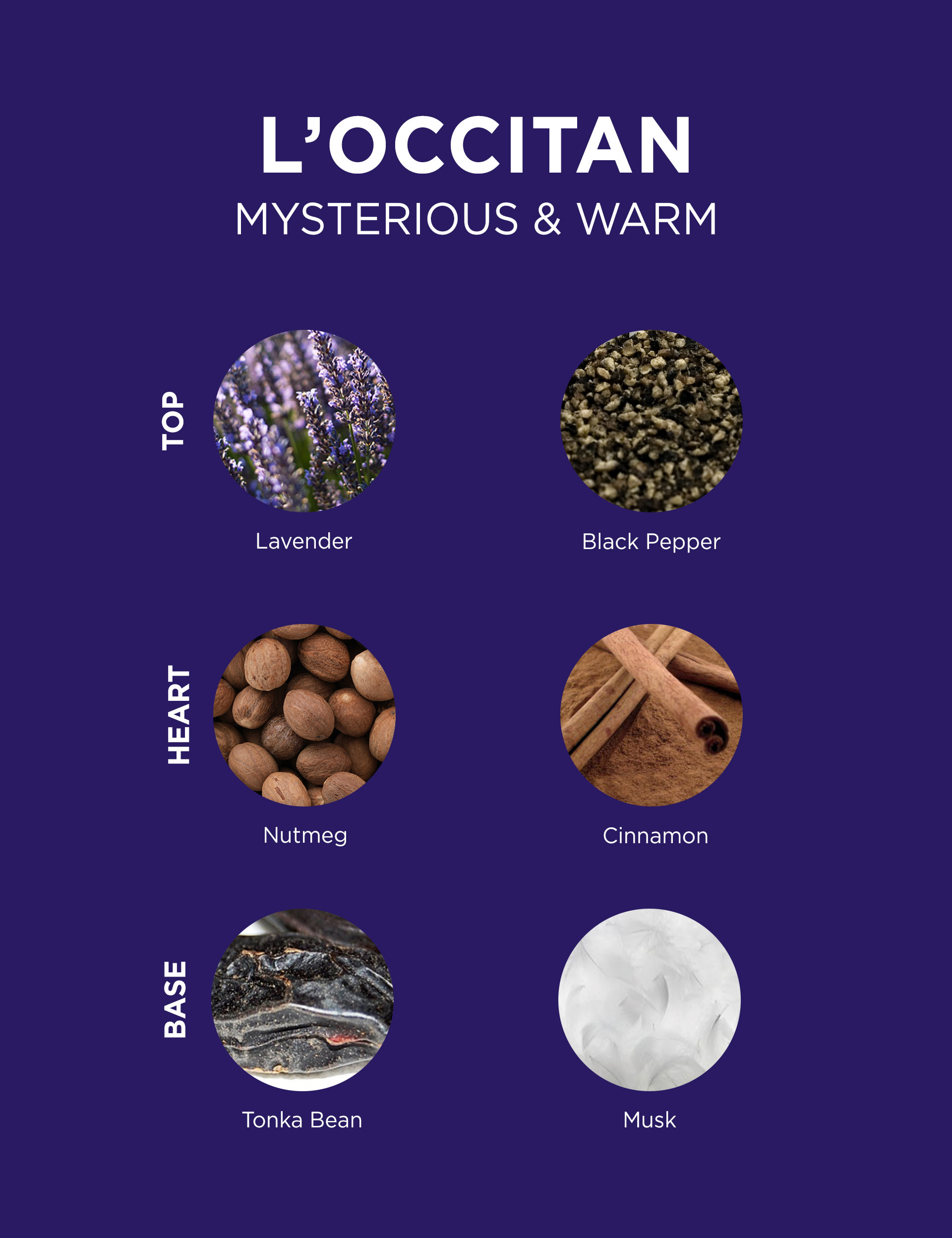 Mens Eau de Toilette 75ml L'Occitane M&S