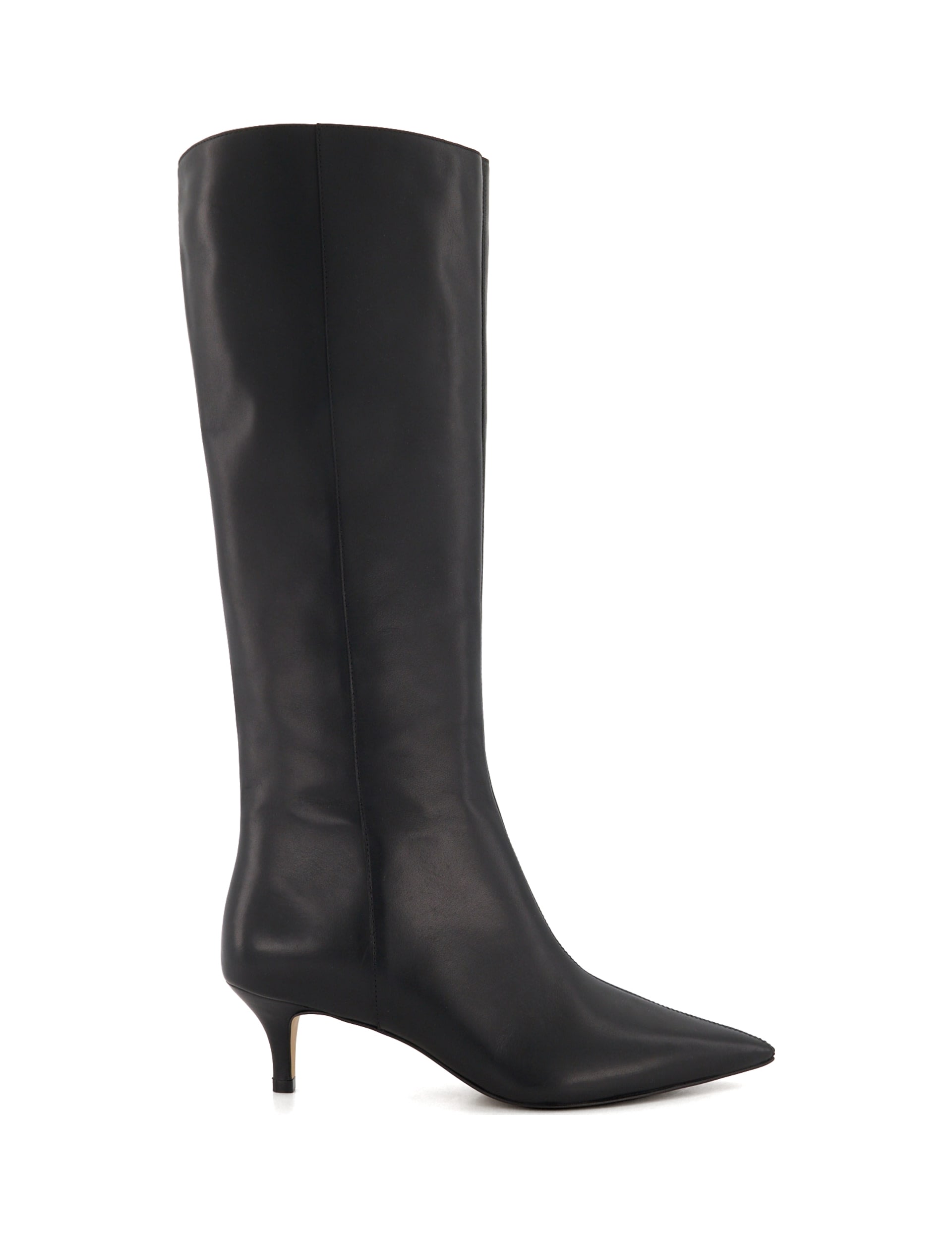 Leather Kitten Heel Pointed Knee High Boots 1 of 5