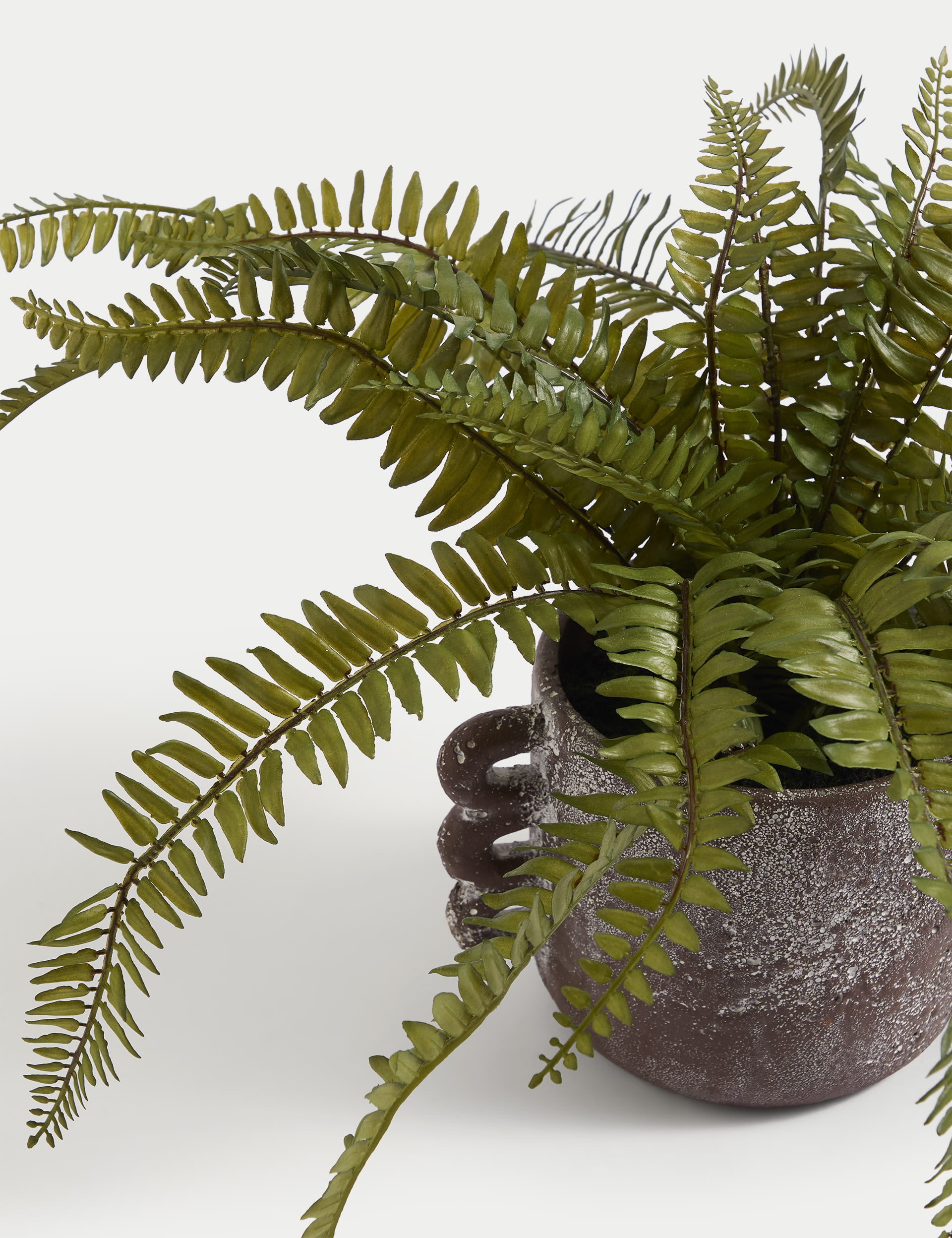 Artificial Fern Plant in Ceramic Pot 4 of 5