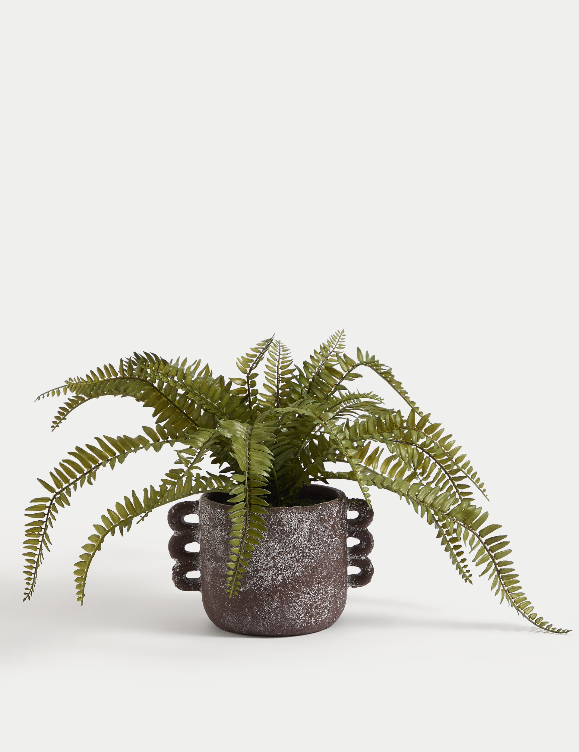 Artificial Fern Plant in Ceramic Pot 2 of 5