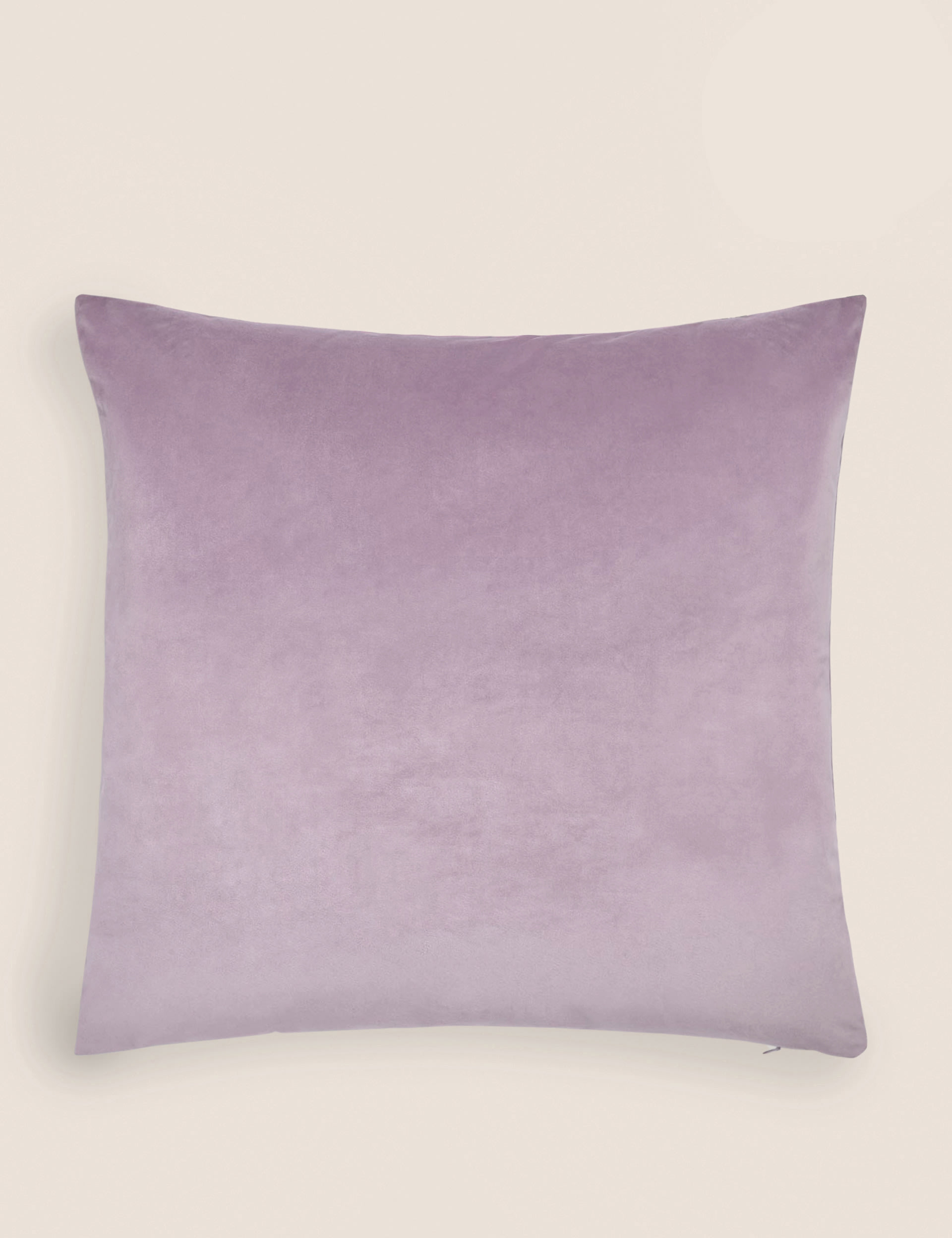 Velvet Cushion 1 of 5