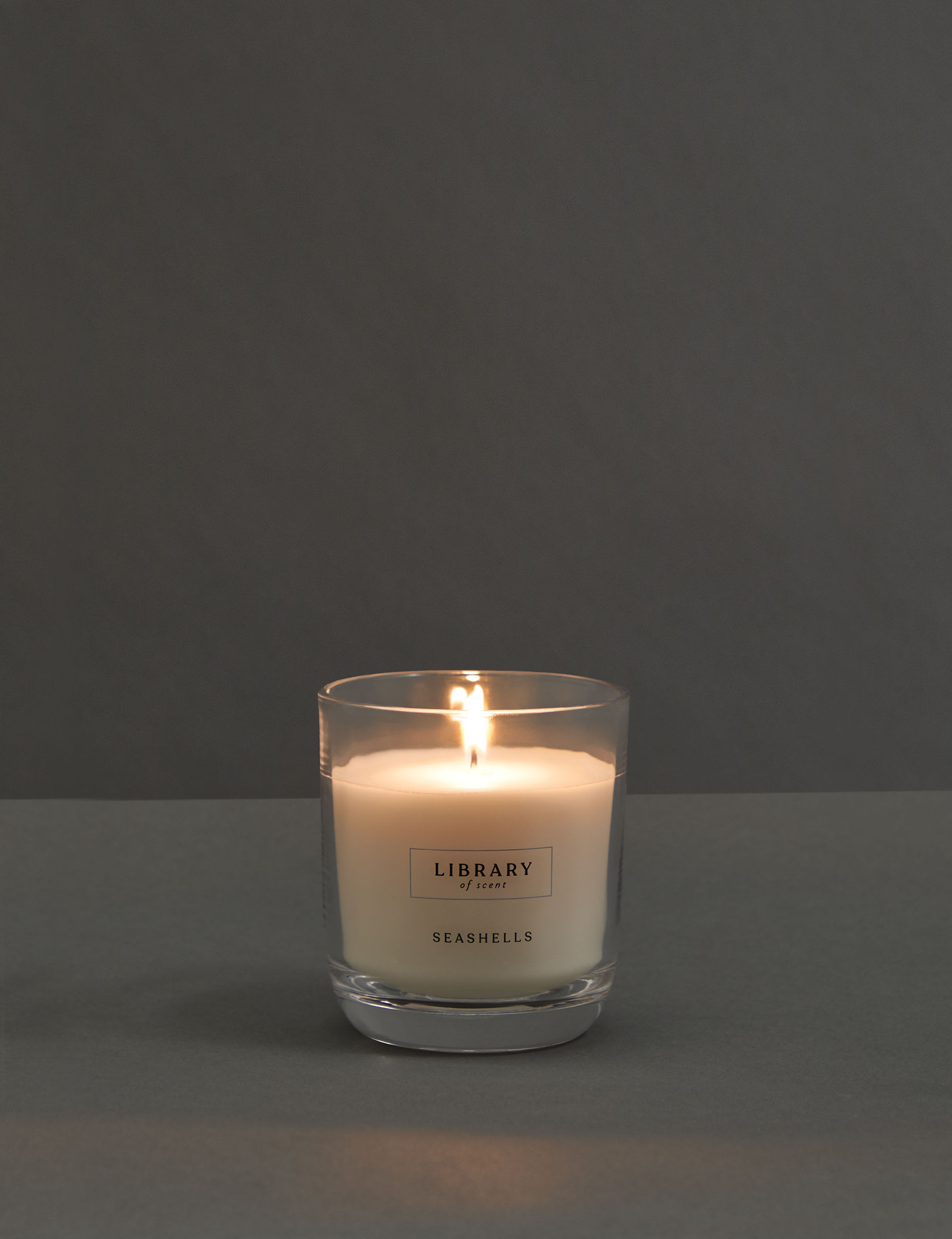 Seashells Scented Candle Library of Scent M&S