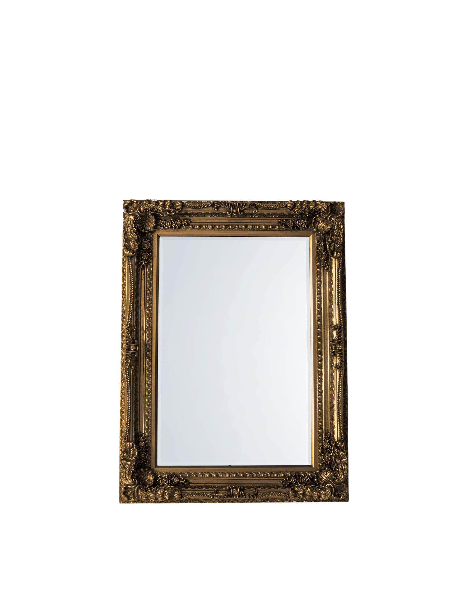 Carved Louis Extra Large Rectangular Mirror 4 of 4