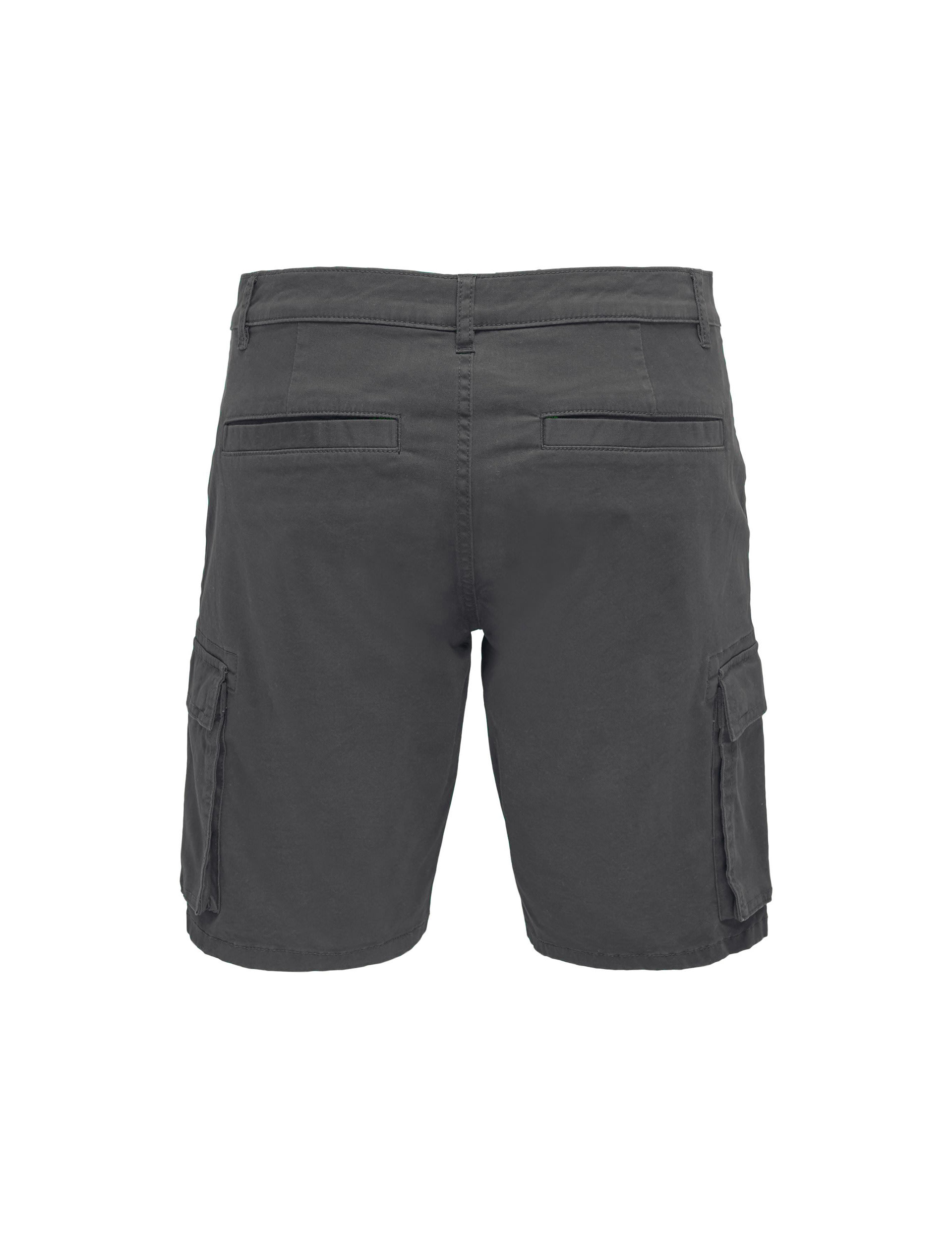 Regular Fit Cargo Shorts 4 of 4