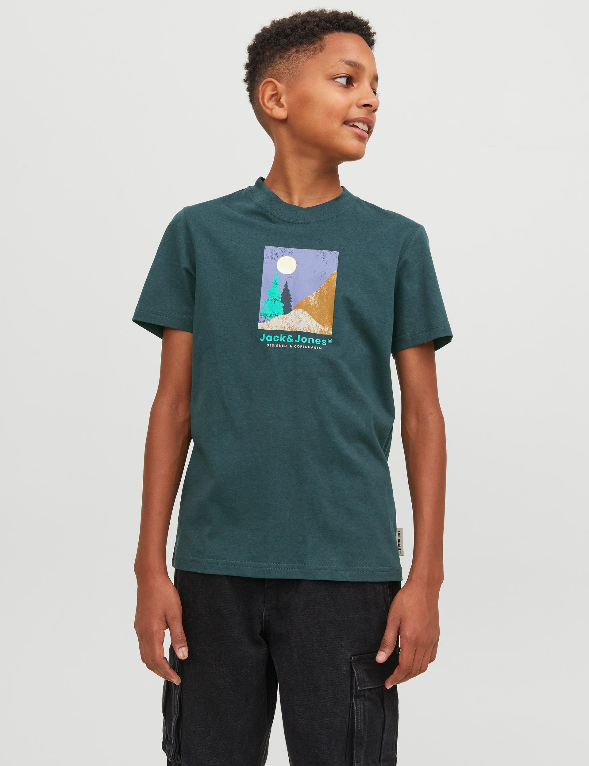 Pure Cotton Mountain Print T-Shirt (8-16 Yrs) 1 of 6