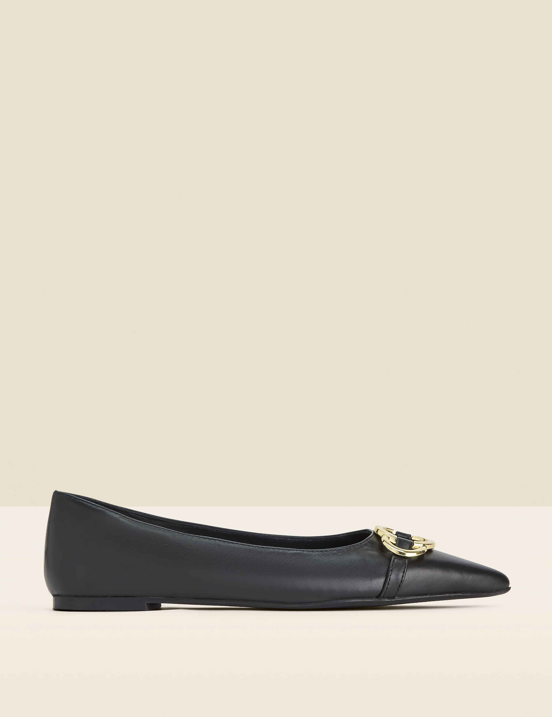 pointed pumps flat
