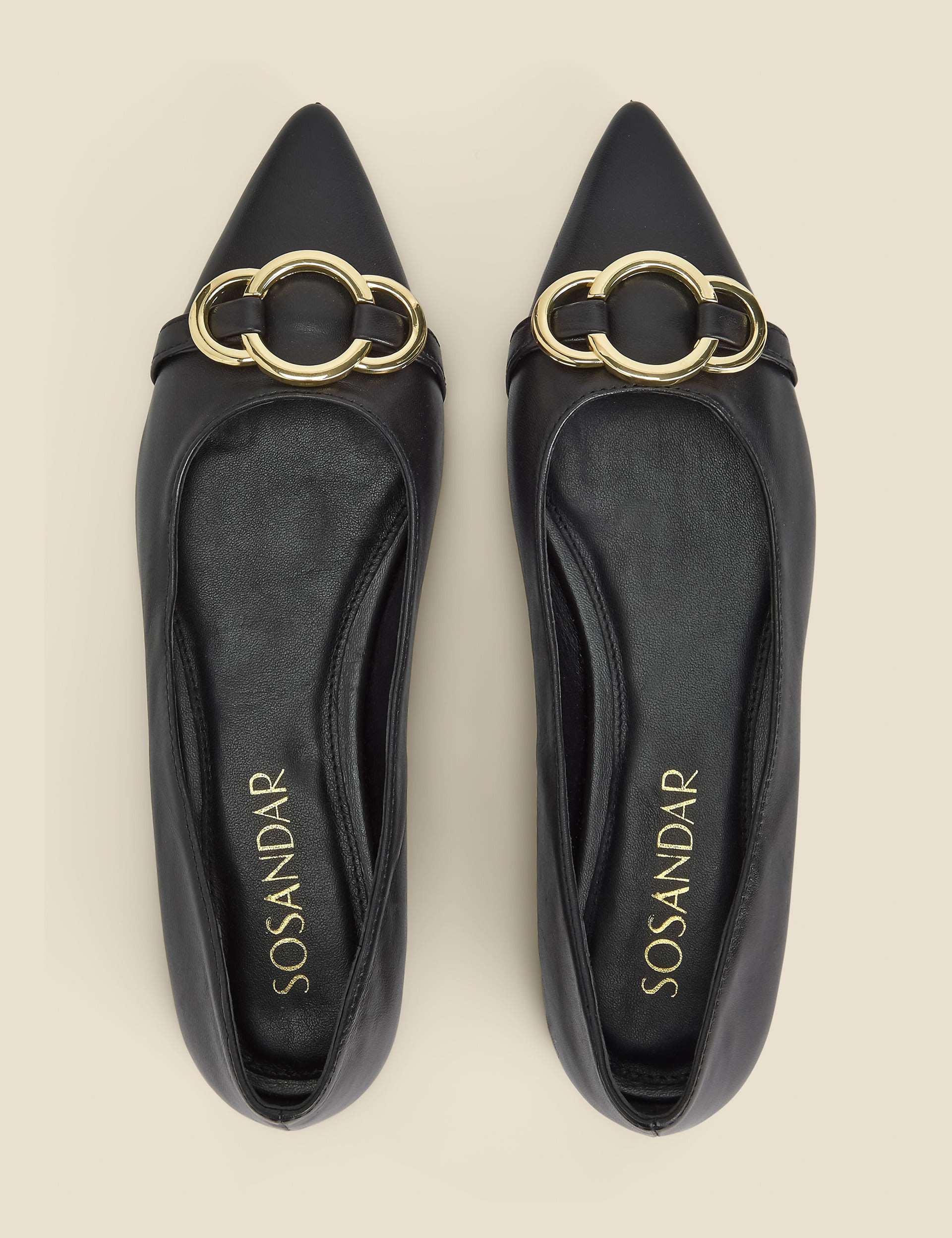 pointed pumps flat