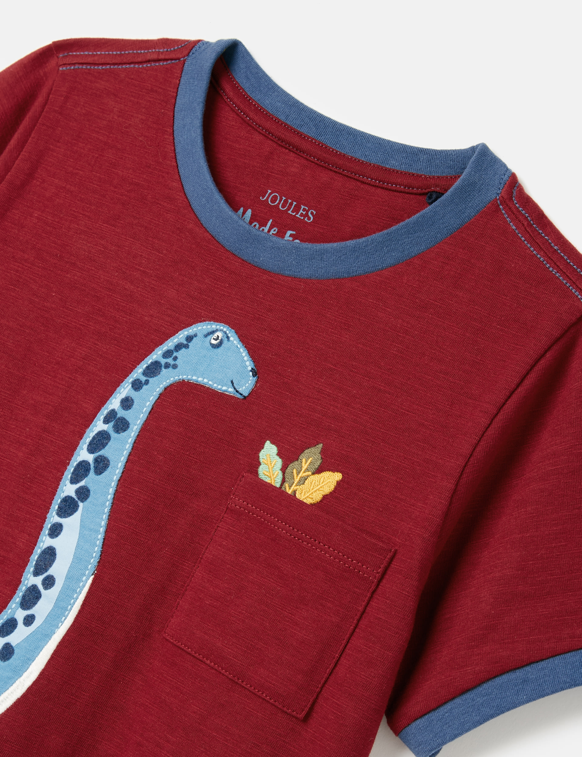 Pure Cotton Dinosaur Applique T-Shirt (2-8 Yrs) 4 of 5